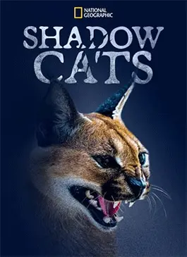 Shadow-Cats-2022.