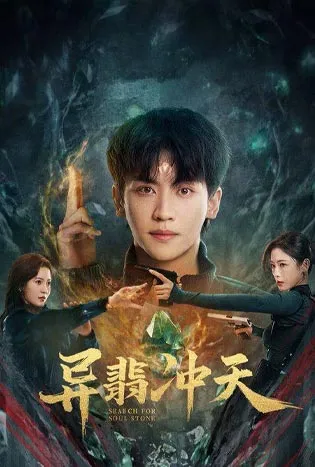 Search for Soul Stone (2025) 异翡冲天
